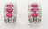 18K White Gold, Diamond and Ruby Huggie Earrings