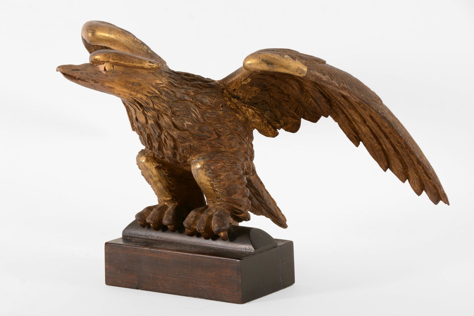 19th Century Carved Giltwood Eagle (1 of 7)
