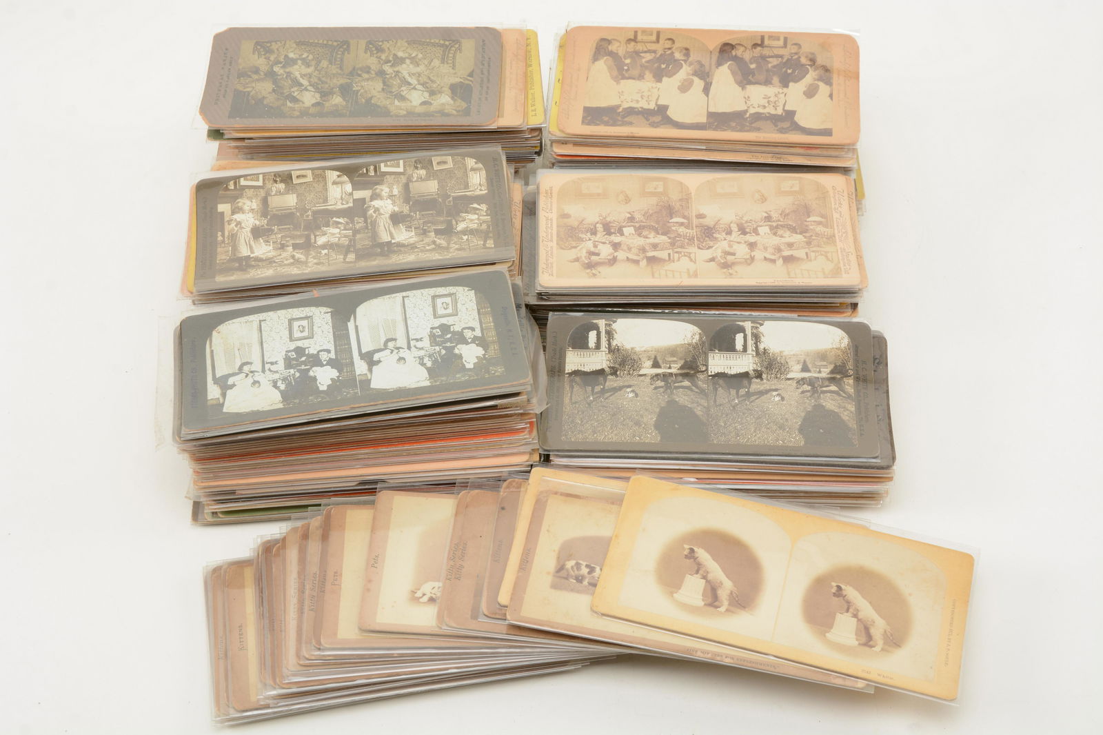 Wonderful Collection of 250 Cat Stereoviews. (1 of 11)