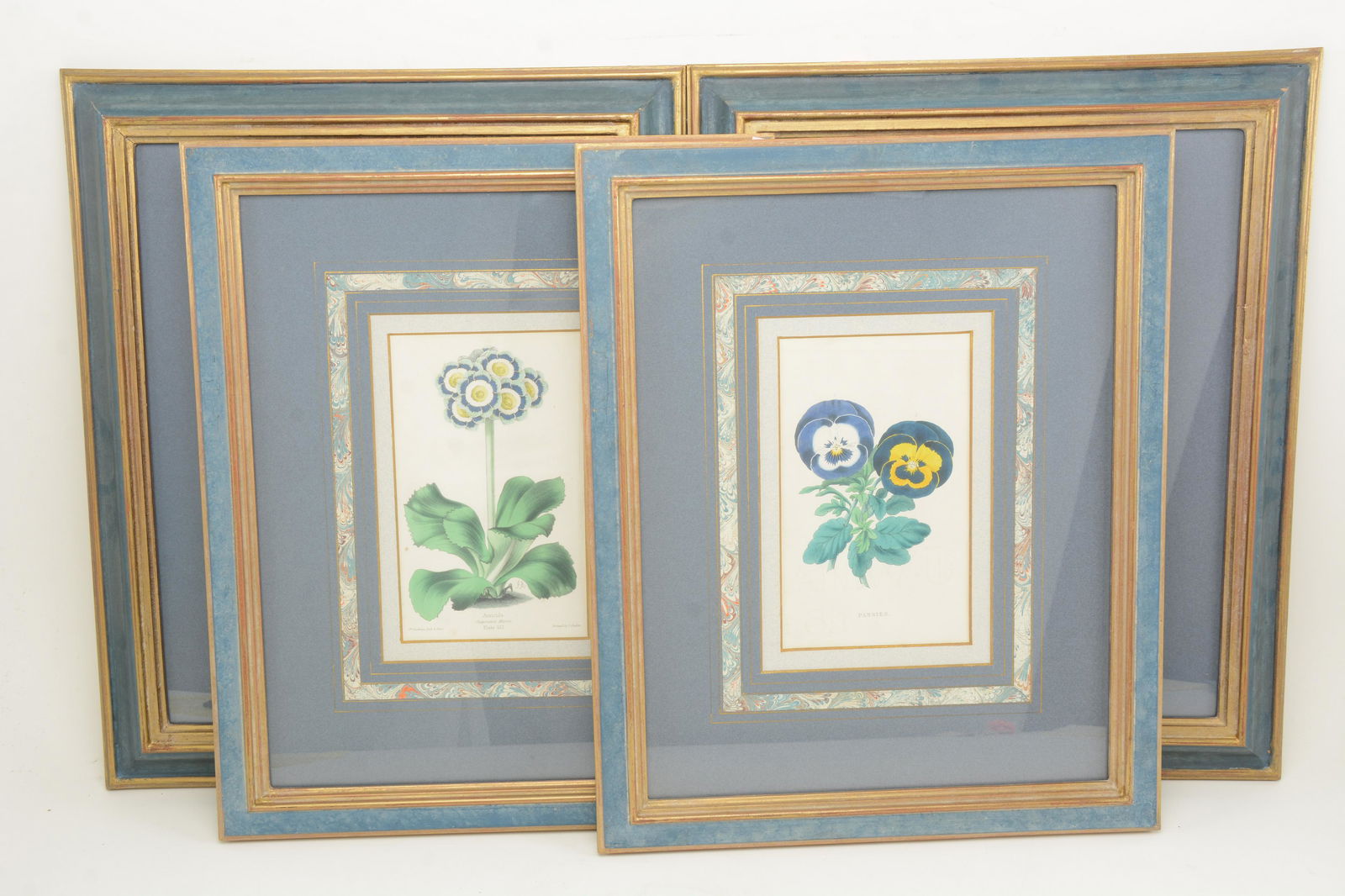 2 Pair of botanical prints after Joseph Andrews. Nicely (1 of 8)