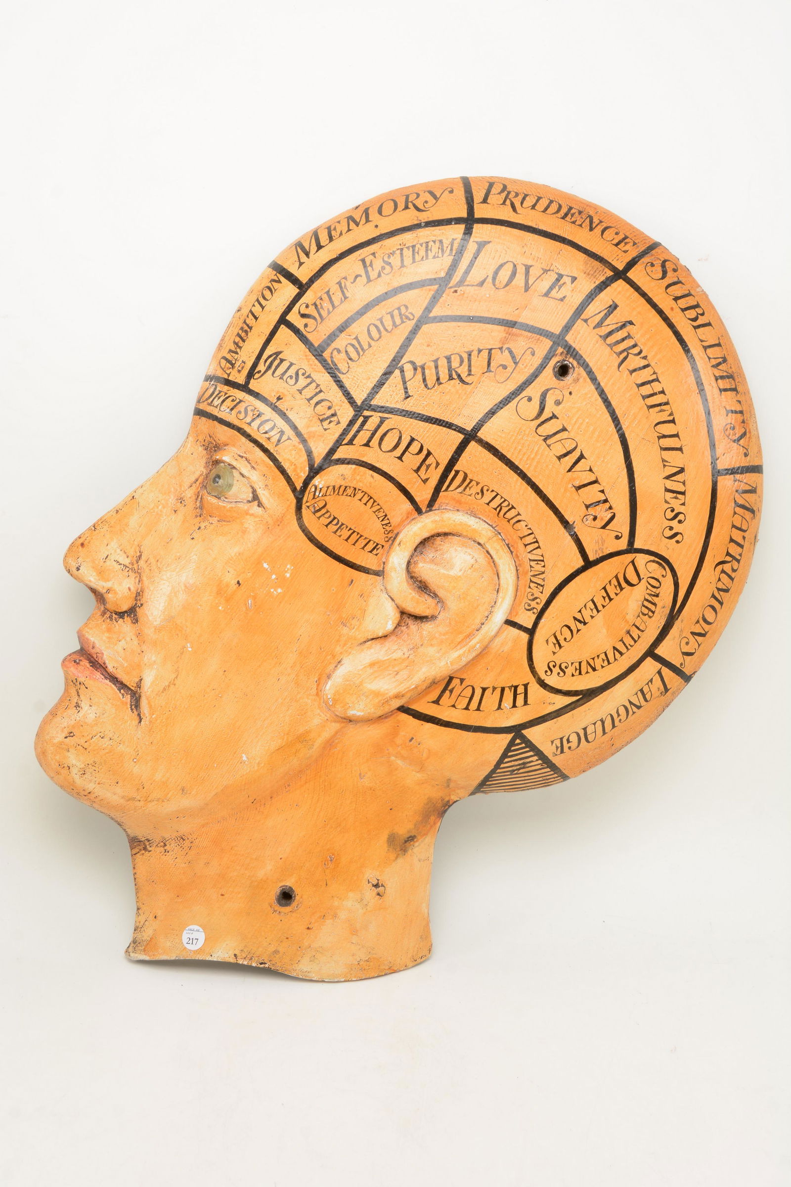 Phrenology painted carved wood sign, 19 th  Century. (1 of 9)