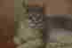 item-97125346=3