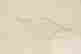 item-100892180=9