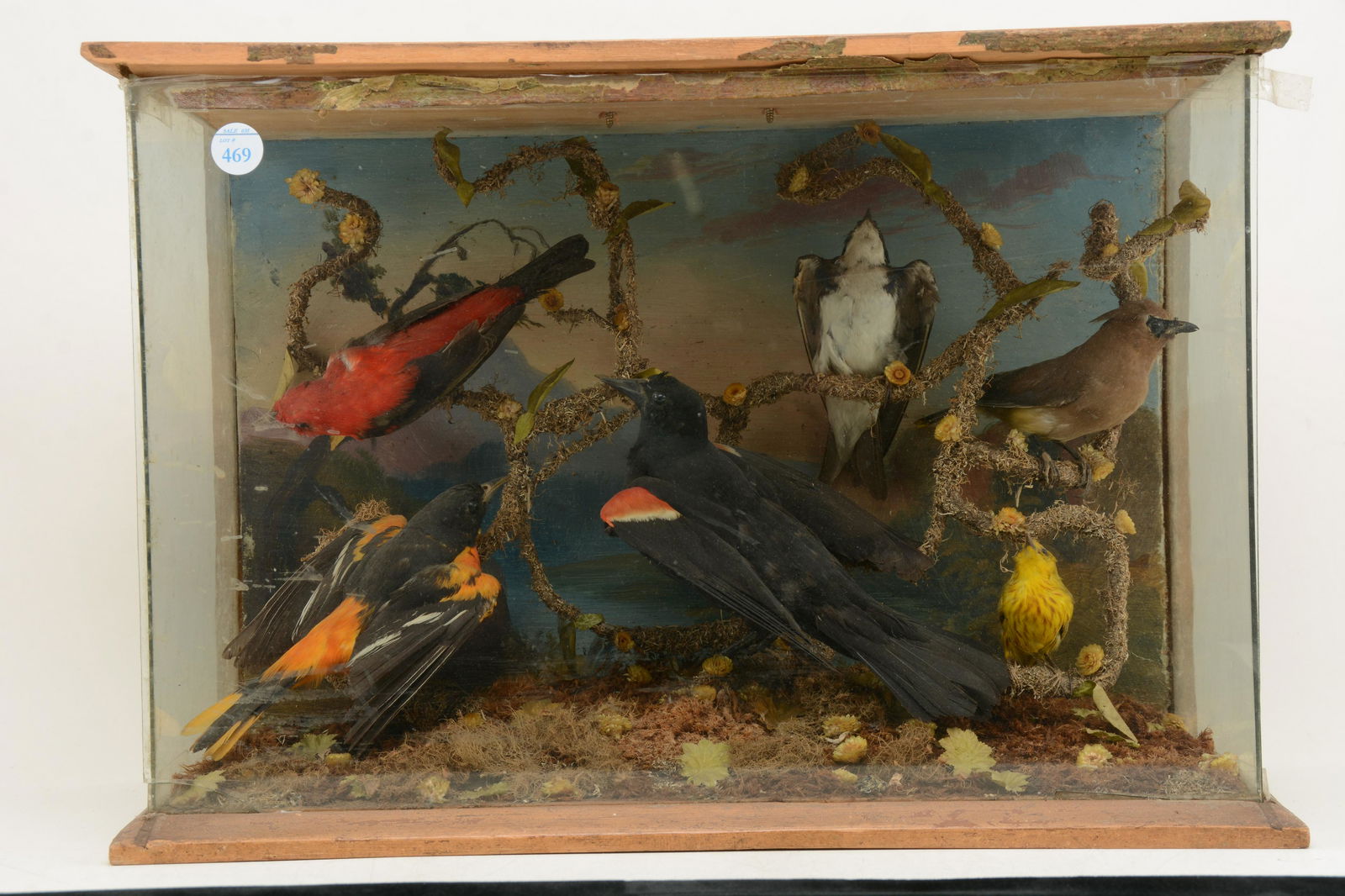 Victorian cased Aviary with assorted birds including, (1 of 12)