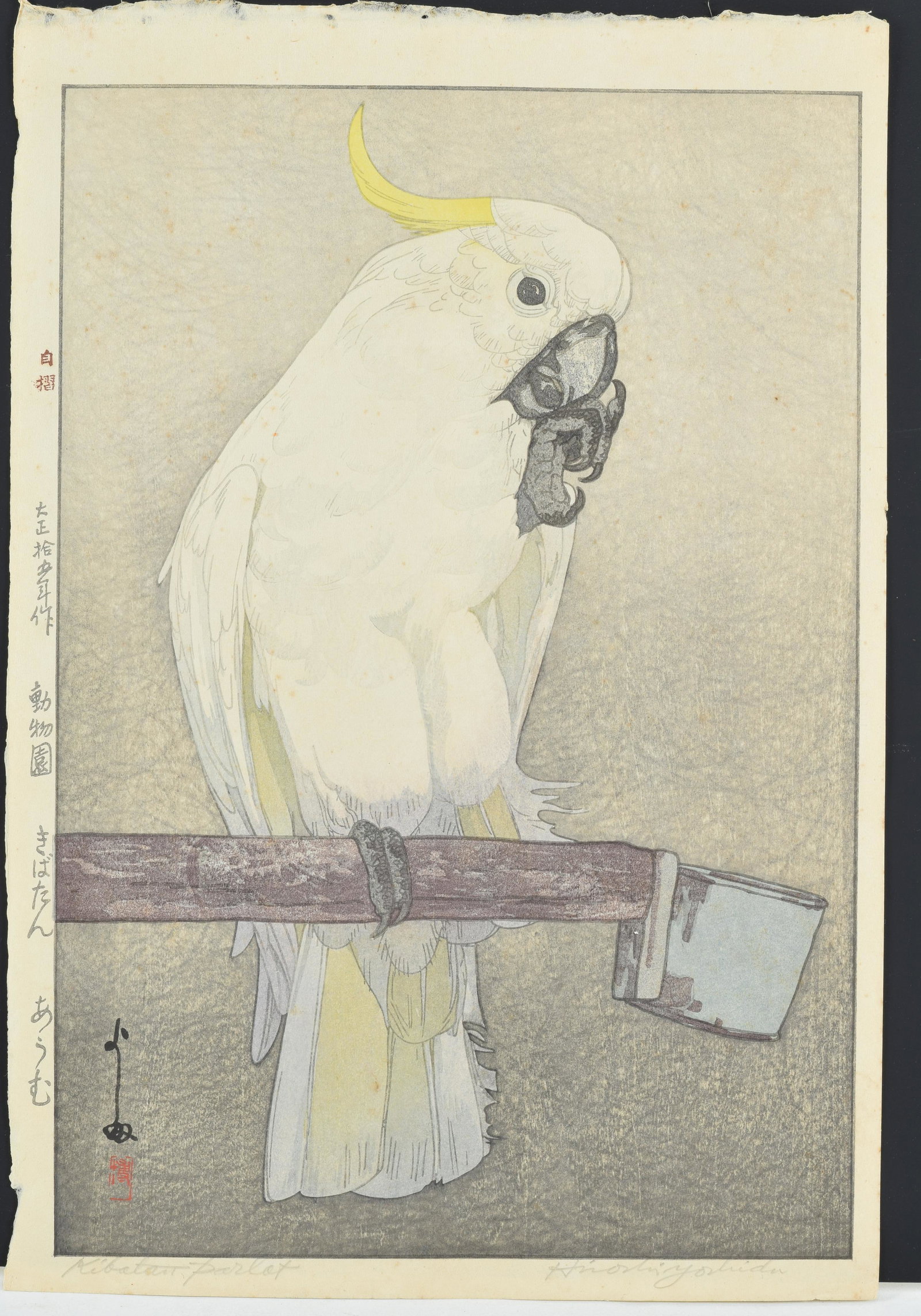 Hiroshi Yoshida. "Kibetan Parrot". Japanese woodblock: Hiroshi Yoshida. "Kibetan Parrot". Japanese woodblock of a bird on perch with one claw raised. Signed and titled in pencil along lower margin. Seals and inscription along left hand margin. Unframed. S