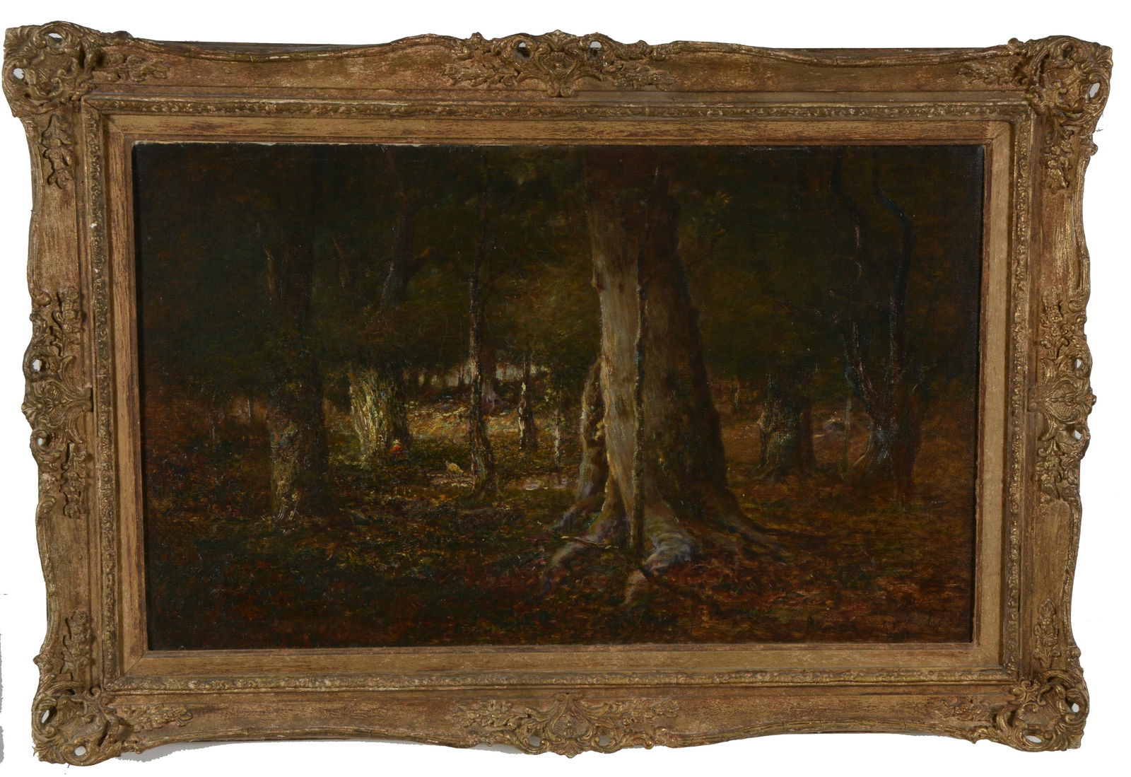 Signed landscape painting. Autumnal forest floor scene (1 of 8)