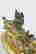 item-129072963=8