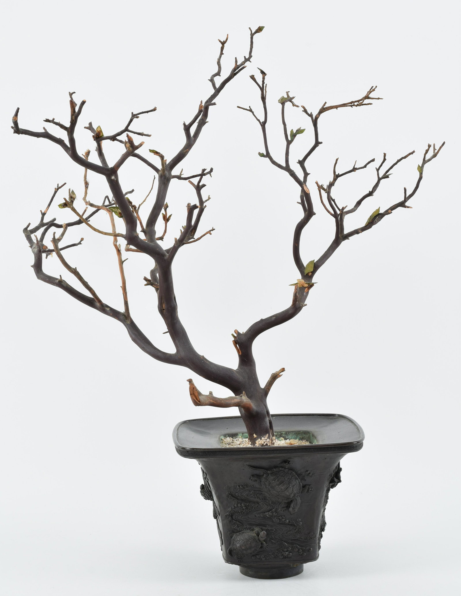 Bronze jardiniere. Japan. Meiji period (1868-1912). Square flared form. Relief decoration of: Bronze jardiniere. Japan. Meiji period (1868-1912). Square flared form. Relief decoration of mythical animals. 7.5 x 7.5 x 6.75in.