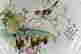 item-129073170=2