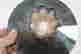 item-136164709=8