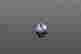 item-136164741=4
