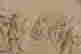 item-136164841=5