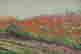 item-136164903=2