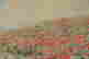 item-136164904=4