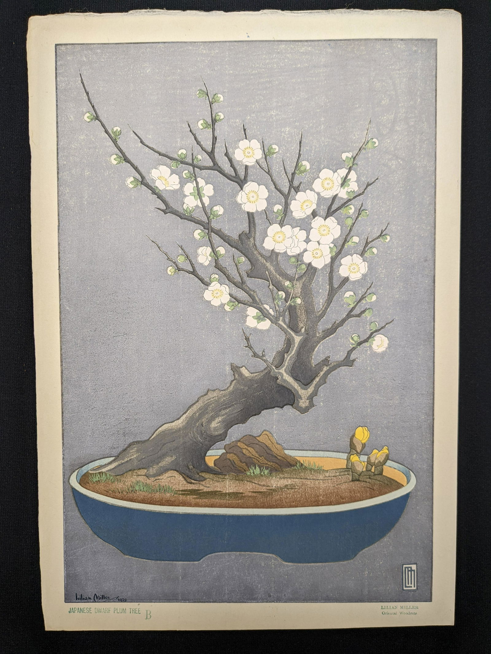 Lilian Miller. "Japanese Dwarf Plum Tree". Original color woodcut print. Edition B with blue and: Lilian Miller. "Japanese Dwarf Plum Tree". Original color woodcut print. Edition B with blue and periwinkle color variations depicting a Japanese bonsai. Signed and dated 1928 lower left. Monogram in