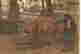 item-136164956=4