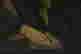 item-136165031=5