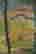 item-136165125=2