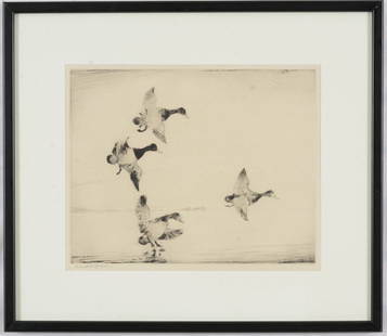 Frank Benson. Etching of ducks landing on the water's surface. Pencil signed lower left margin.: Frank Benson. Etching of ducks landing on the water's surface. Pencil signed lower left margin. Framed under glass. Plate: 10.75 x 13.75in. Overall: 18.5 x 21.25in.