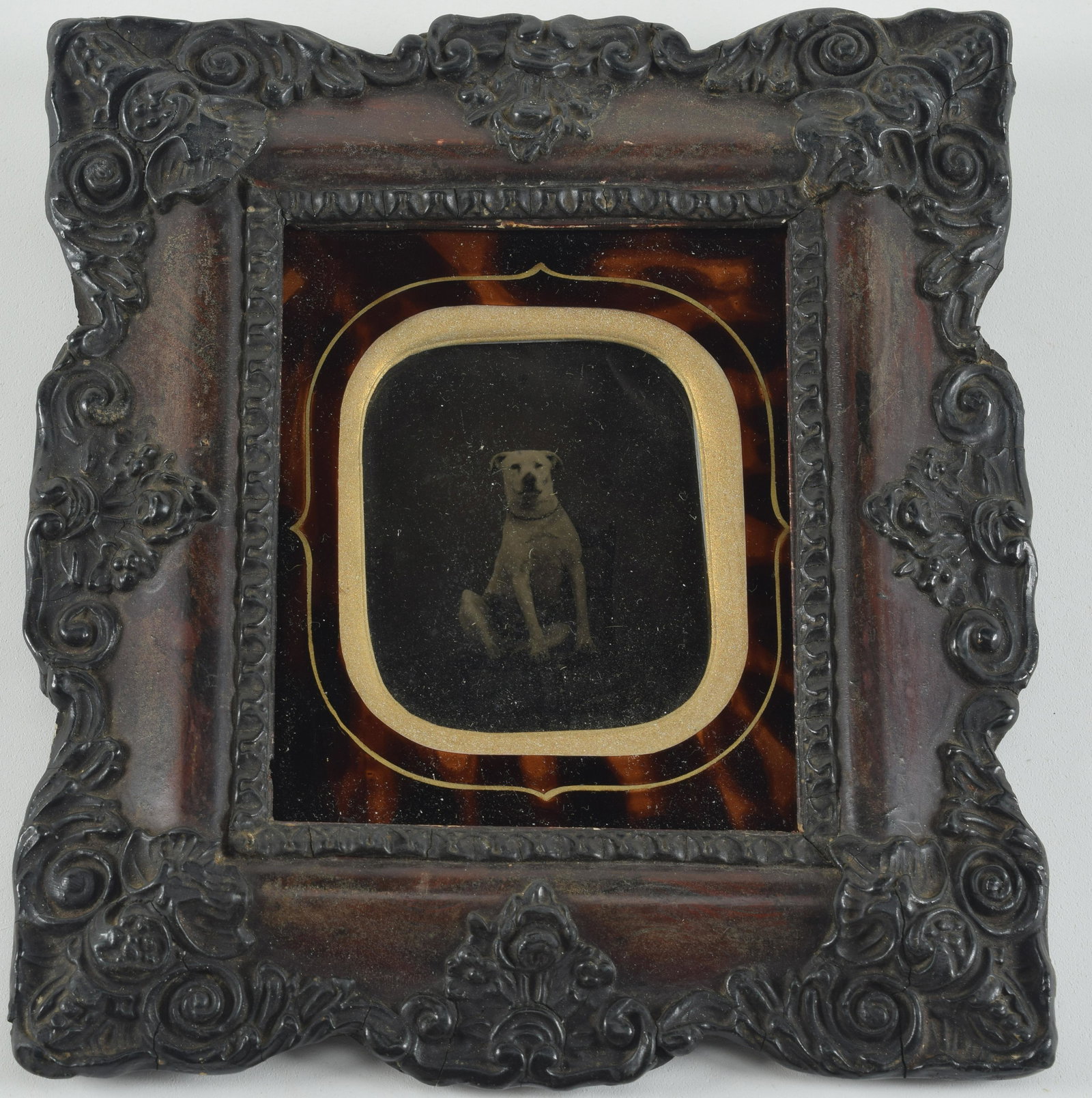 Sixth plate ambrotype of a white dog seated in a chair. Elaborate frame presentation. Good overall: Sixth plate ambrotype of a white dog seated in a chair. Elaborate frame presentation. Good overall condition to frame with some minor losses and age cracks. Sight size of photo: 2 7/8 x 2 3/8in. Overa