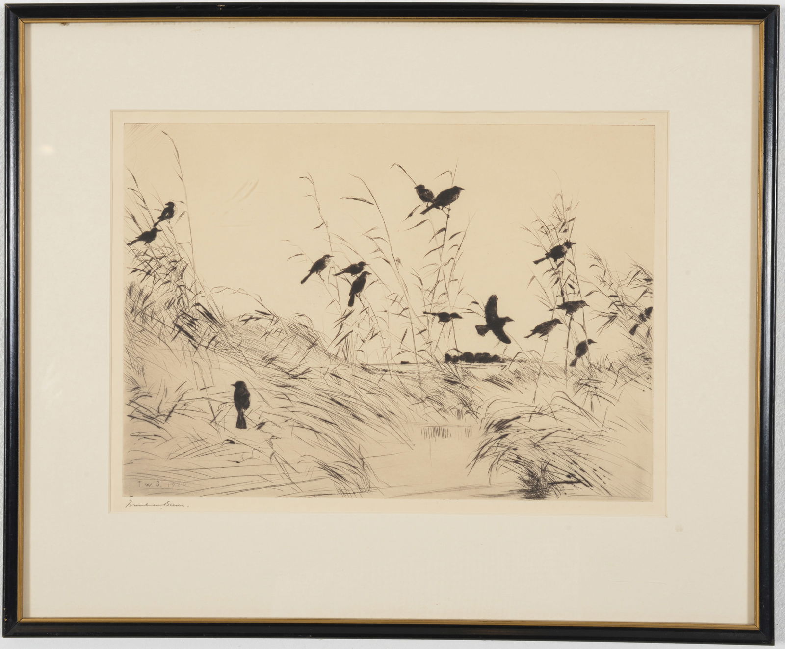 Frank W. Benson, American. Etching Blackbirds and Rushes. Signed and dated in plate F.W.B 1920 and (1 of 6)