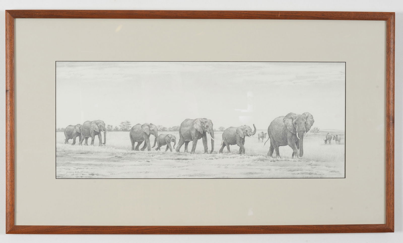 Lindsay B. Scott. Contemporary California/New Zealand. Pencil of sketch elephants dated 1989. Signed (1 of 6)