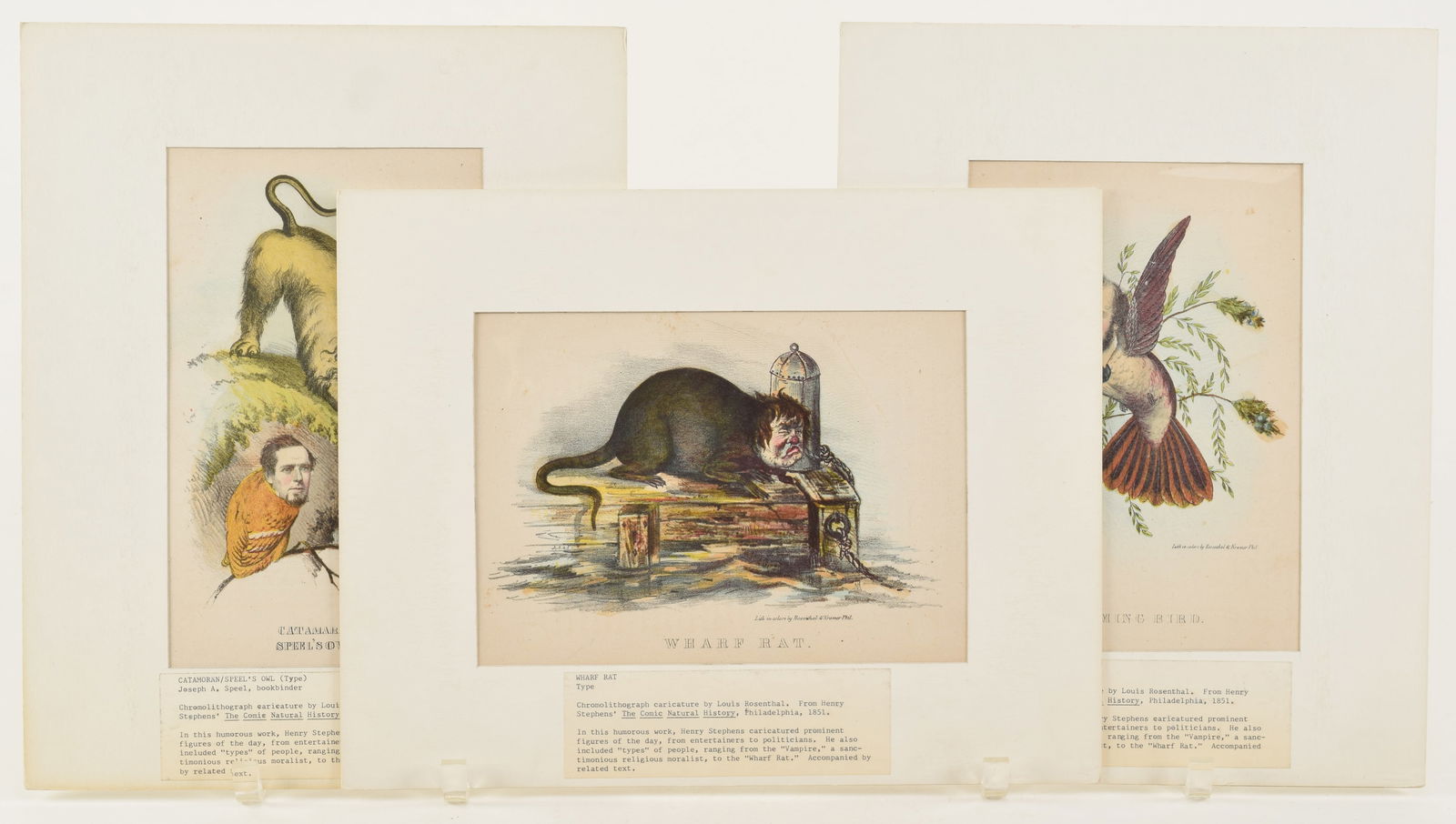 [3] 1851 chromolithograph caricatures by Louis Rosenthal from Henry Stephens "The Comic Natural: [3] 1851 chromolithograph caricatures by Louis Rosenthal from Henry Stephens "The Comic Natural History". To include: 1) "Wharf Rat". 2) "Humming Bird". 3) "Catamaran / Speel's Owl". Each matted. 14 x