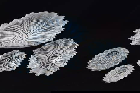Dale Chihuly white Persian Seaform art glass set. 5 total pieces including 3 graduated clam shell: Dale Chihuly white Persian Seaform art glass set. 5 total pieces including 3 graduated clam shell form dishes and 2 sea urchin form bowls. 2 pieces signed and dated '91 and '94 on base. Largest: 7.75