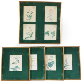 Lot of Japanese botanical watercolors. 4 framed together, with 4 individually framed. Each with a