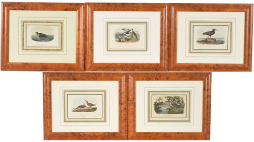 Lot of 5 John James Audubon hand colored lithographs of birds. From the royal octavo edition.