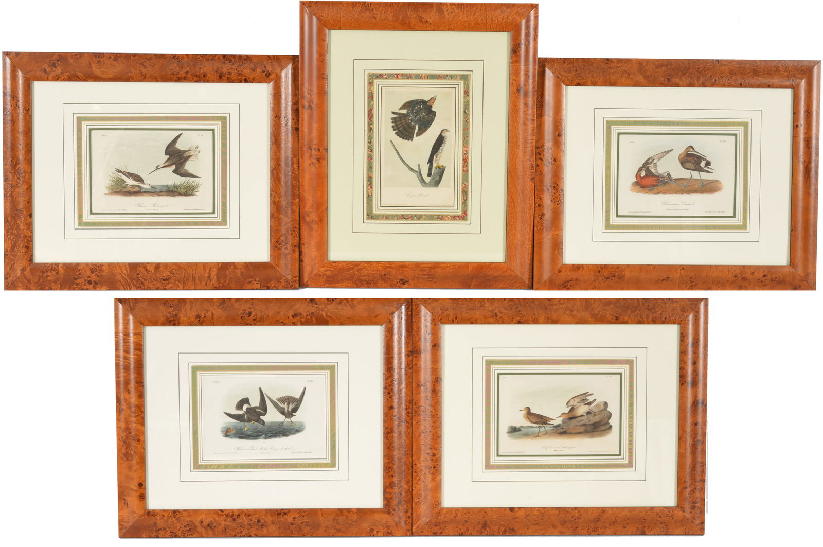Lot of 5 John James Audubon hand colored lithographs of birds. From the royal octavo edition. (1 of 6)