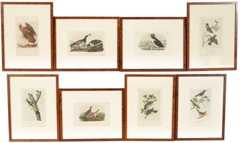 Lot of 8 John James Audubon color lithographs of birds. 1859 Royal Octavo edition. Printed by J.T.