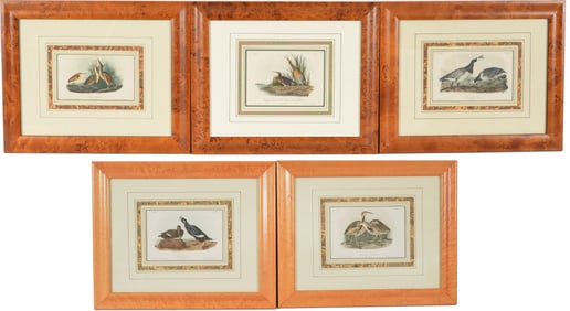 Lot of 5 John James Audubon color lithographs of birds. Octavo edition. Printed by J.T. Bowen.