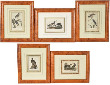 Lot of 5 John James Audubon color lithographs of birds. Octavo edition. Printed by J.T. Bowen.