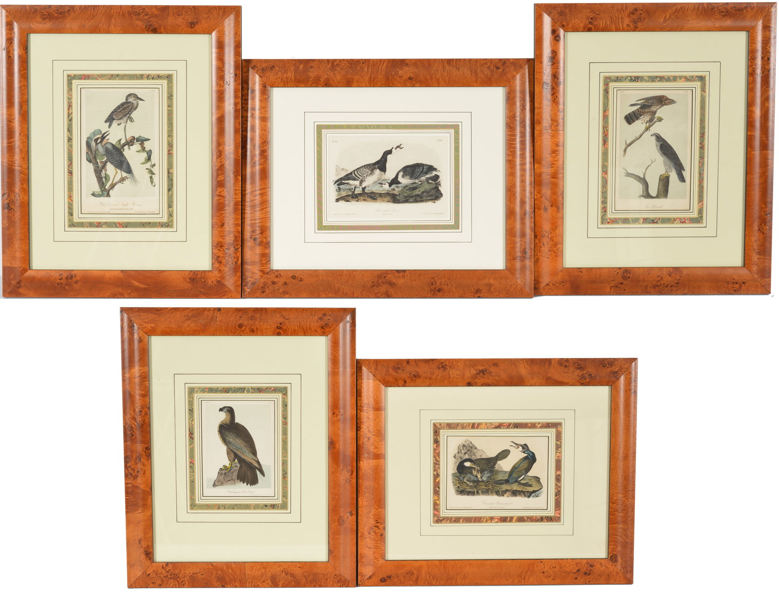 Lot of 5 John James Audubon color lithographs of birds. Octavo edition. Printed by J.T. Bowen. (1 of 6)