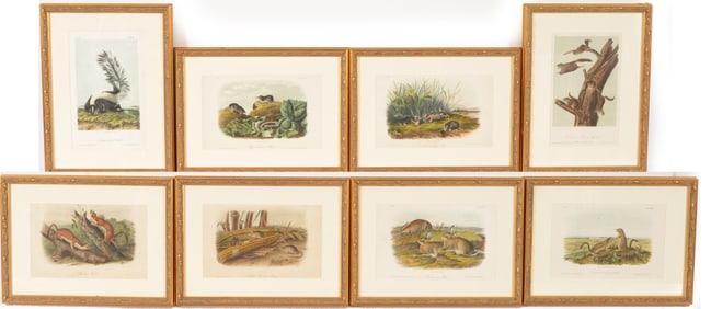Lot of 8 John James Audubon color lithographs of quadrupeds. Octavo edition. Printed by J.T. Bowen.
