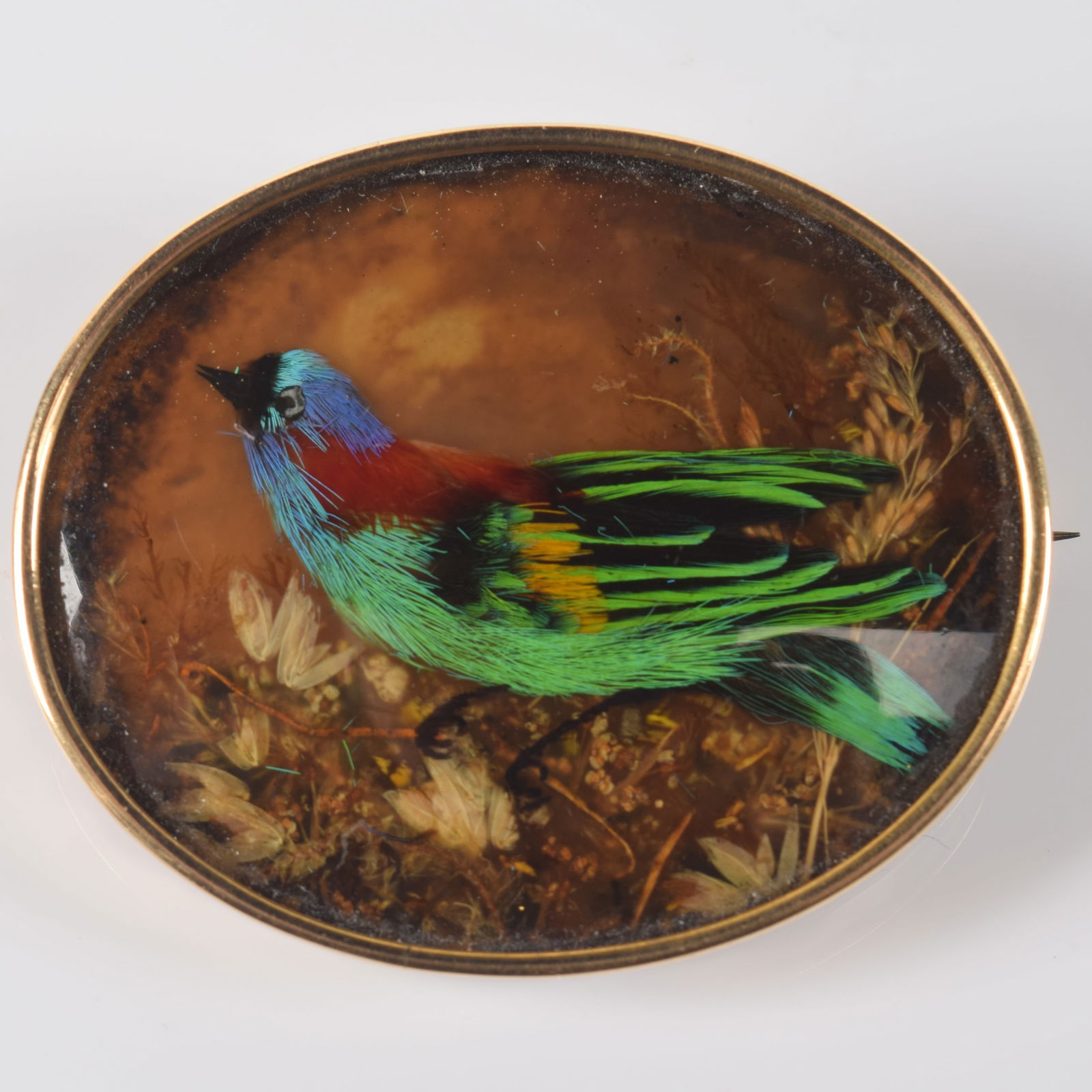 Antique 14K gold framed bird diorama pin. Bird made of various feathers, background of various plant (1 of 5)