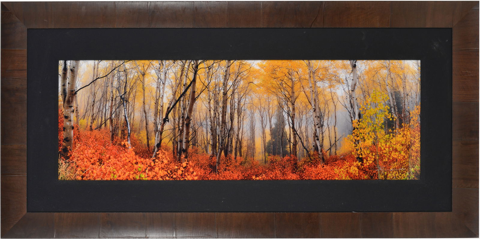 Peter Lik, Austrailian-American Contemporary. Limited edition photographic print 434/950. "Autumn (1 of 6)