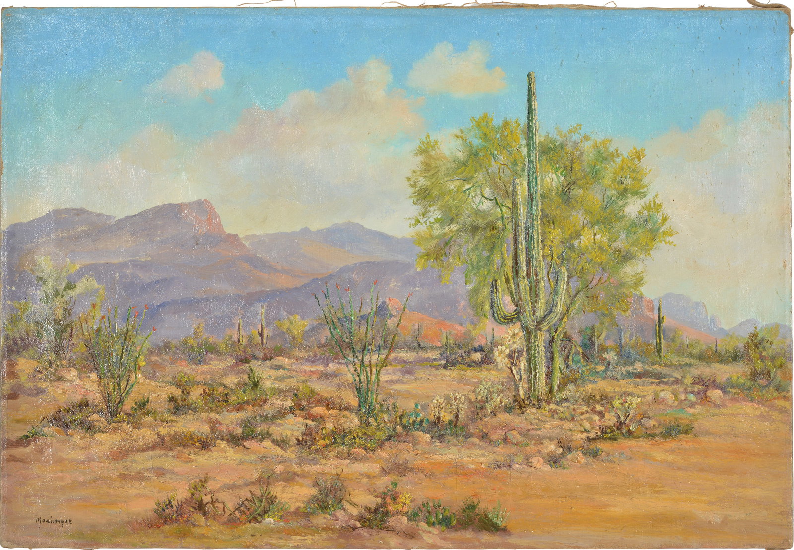 Archibald Dugald (A.D.) MacIntyre, American Late 19th-20th Century. Western desert landscape with: Archibald Dugald (A.D.) MacIntyre, American Late 19th-20th Century. Western desert landscape with mountains. Signed lower right. Oil on canvas. Unframed. 16 1/4 x 24 in.