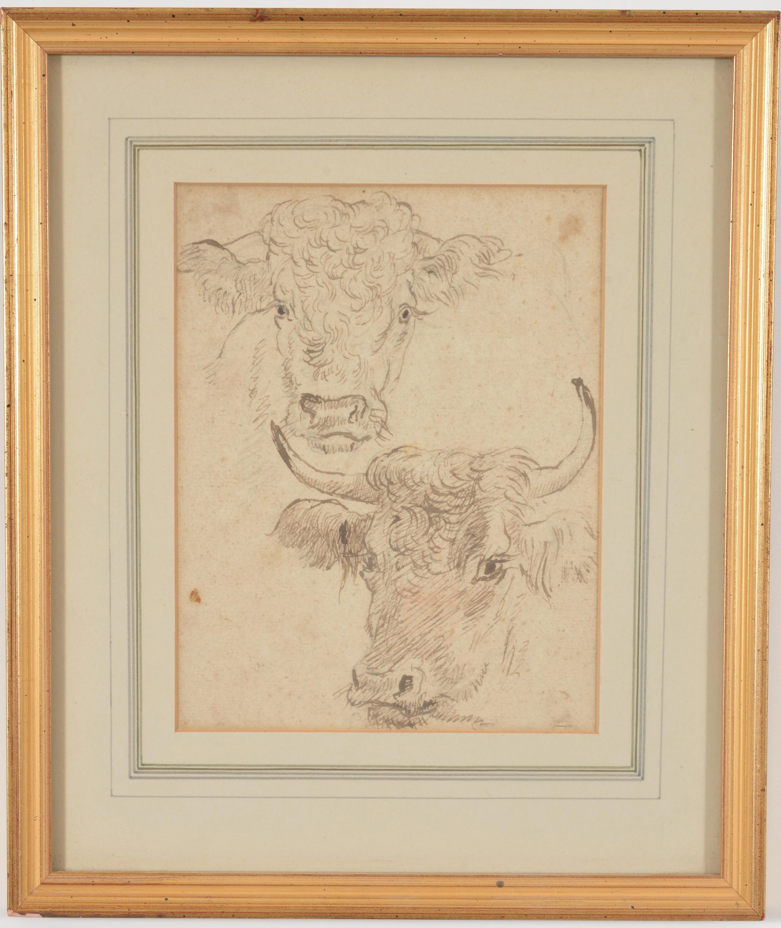 18th/19th century old master ink sketch study of cows. One head of a bull and one of a cow. (1 of 8)
