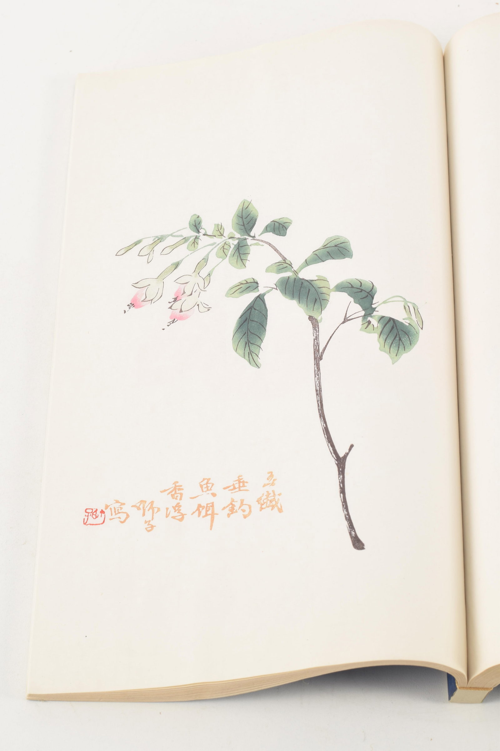 2 vol. boxed set of artworks after Qi Baishi, mid 20th century. 12.25 x 8.75in. - 8