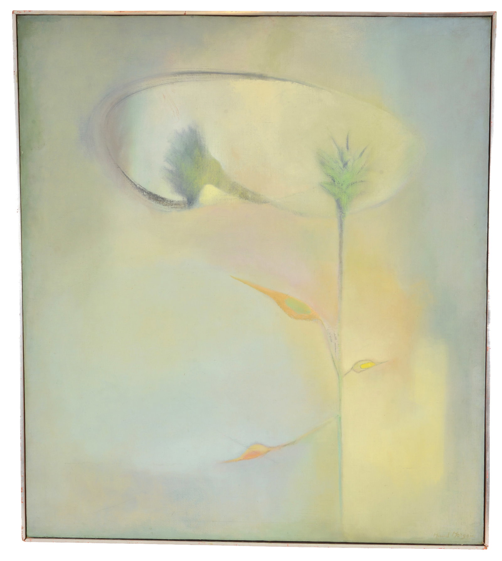 Maud Morgan, 20th Century. Abstract-surrealist floral blossom. Cambridge Art Association label on: Maud Morgan, 20th Century. Abstract-surrealist floral blossom. Cambridge Art Association label on reverse titled "Growing". Signed lower right. Oil on canvas. Framed. Image size 45 x 40 in, Overall si