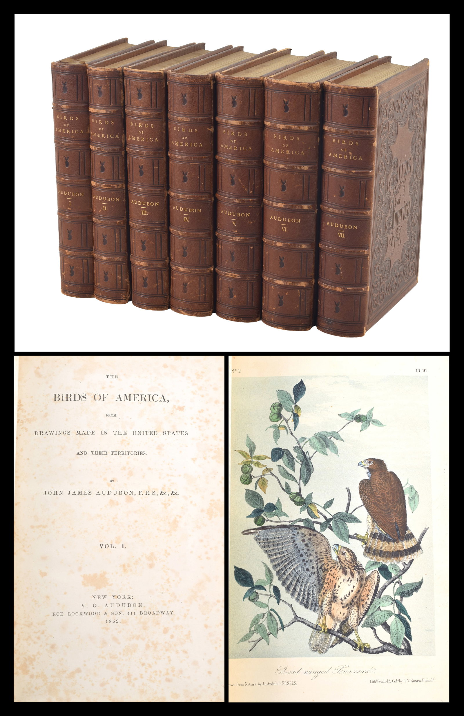 John James Audubon. The Birds of America. 7 volume set. New York: V. G. Audubon, 1859. Fine leather (1 of 16)