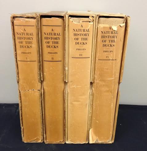 "A Natural History of Ducks" John C. Philips. 1922.: Boxed set of books. 4 Volumes "A Natural History of Ducks" by John C. Philips. 1922. Houghton Mifflin Co. publishers.