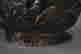 item-43938017=2