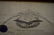 Abraham Lincoln Military appointment for 1st Lt. Henry - 2