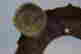 item-47793057=7