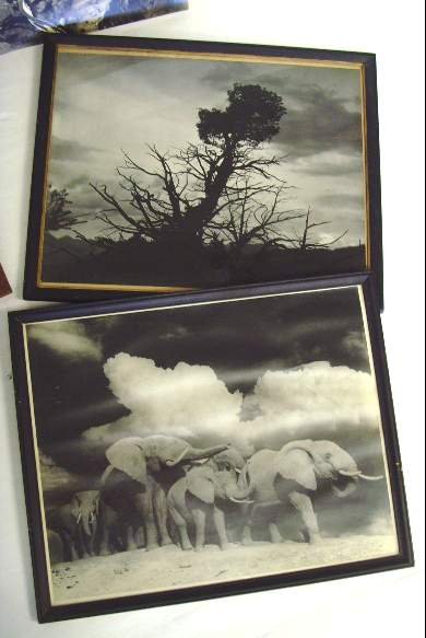 PHOTOGRAPH LOT SGN'D BIERWERT - 4