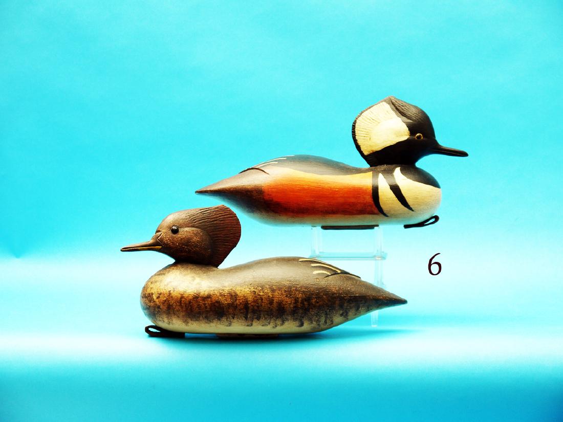 PAIR OF HOODED MERGANSERS by  Bob Brown, Barnegat, NJ. (1 of 1)