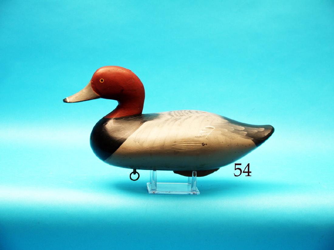 EARLY REDHEAD DRAKE by R. Madison  Mitchell. Havre de (1 of 1)